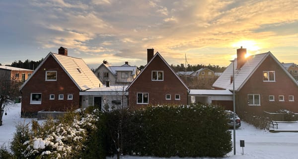 Swedish Winter 🇸🇪